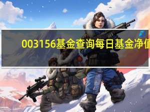 003156基金查询每日基金净值（0031）