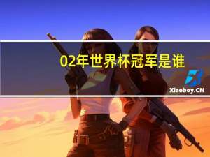 02年世界杯冠军是谁