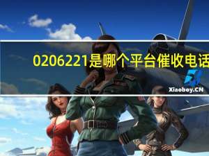 0206221是哪个平台催收电话（0206）
