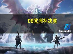 08欧洲杯决赛（关于08欧洲杯决赛的介绍）