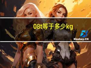 08t等于多少kg