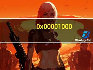 0x00001000（0x0006000d）