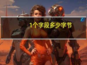 1个字段多少字节