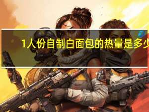 1人份自制白面包的热量是多少