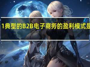 1典型的B2B电子商务的盈利模式是什么