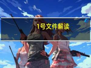 1号文件解读