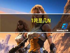 1吨是几N