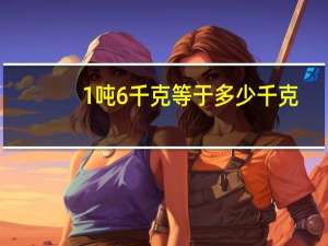 1吨6千克等于多少千克