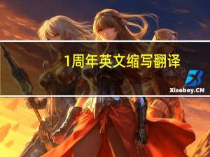 1周年英文缩写翻译