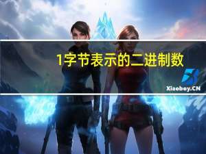 1字节表示的二进制数