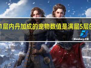 1层内丹加成的宠物数值是满层5层的多少（1层内丹加成的宠物数值是满层的多少）