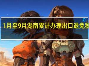 1月至9月湖南累计办理出口退 免税183.25亿元 到底什么情况嘞