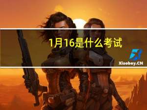 1月16是什么考试