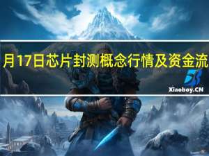 1月17日芯片封测概念行情及资金流向查询