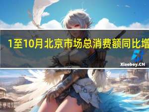 1至10月北京市场总消费额同比增长8.9%