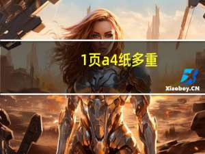 1页a4纸多重（1页）
