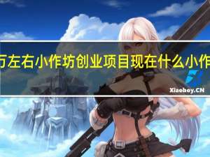 10万左右小作坊创业项目 现在什么小作坊利润大