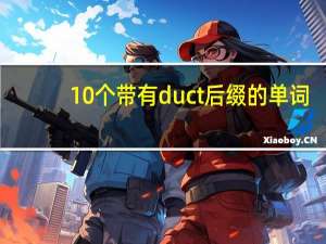 10个带有duct后缀的单词