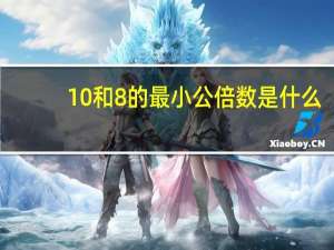 10和8的最小公倍数是什么