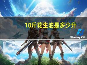10斤花生油是多少升