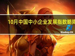 10月中国中小企业发展指数略降0.1点 企业融资状况有所改善