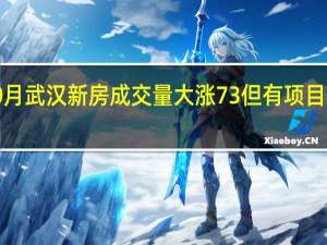 10月武汉新房成交量大涨73% 但有项目却从3万/平卖到2万/平