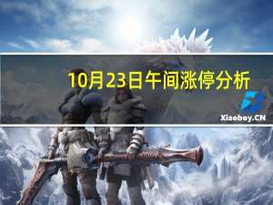 10月23日午间涨停分析
