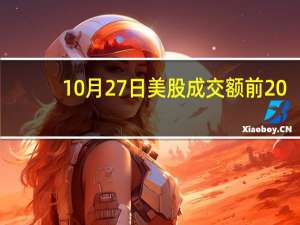 10月27日美股成交额前20：福特汽车股价大跌12.3%业绩遭罢工影响