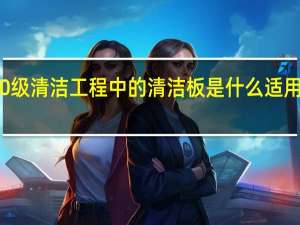 10级清洁工程中的清洁板是什么适用于哪里？