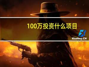 100万投资什么项目