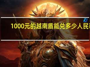 1000元的越南盾能兑多少人民币