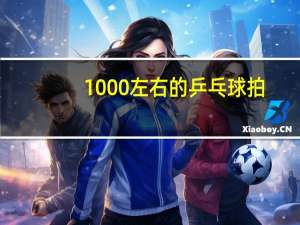1000左右的乒乓球拍