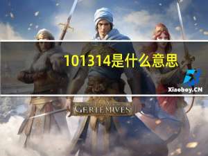 101314是什么意思