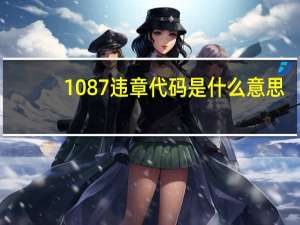 1087违章代码是什么意思