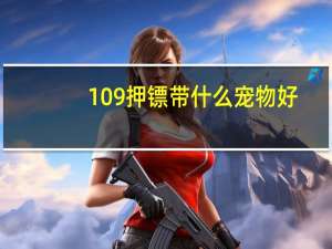 109押镖带什么宠物好