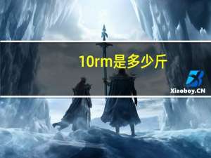 10rm是多少斤