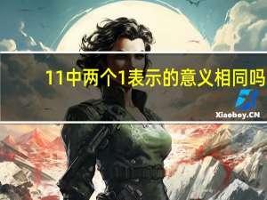 11中两个1表示的意义相同吗