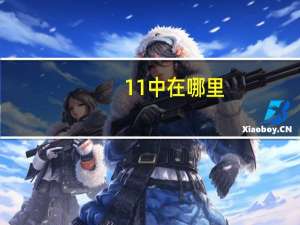 11中在哪里