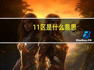 11区是什么意思