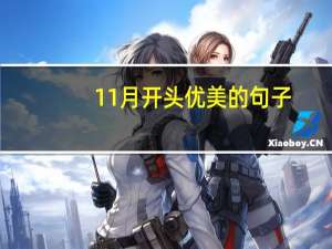 11月开头优美的句子