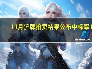 11月沪牌拍卖结果公布 中标率17.8%