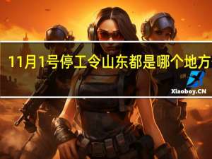 11月1号停工令山东都是哪个地方停工