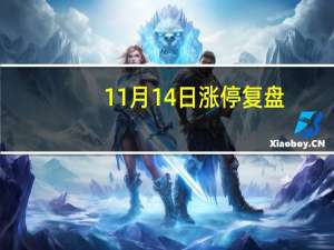 11月14日涨停复盘：文一科技21天12板 豪美新材6连板
