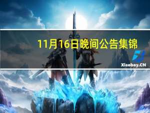 11月16日晚间公告集锦：阿里巴巴2024财年Q2调整后净利润同比增长19%