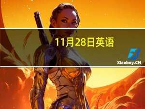 11月28日英语