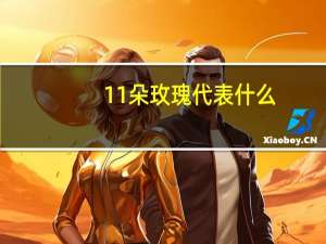 11朵玫瑰代表什么