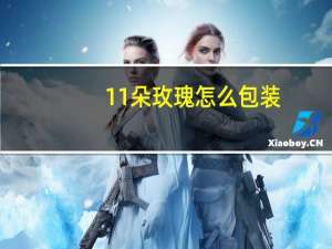 11朵玫瑰怎么包装