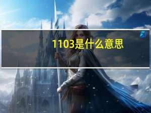 1103是什么意思（11.0.3）
