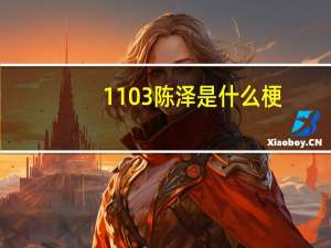 1103陈泽是什么梗（1103）