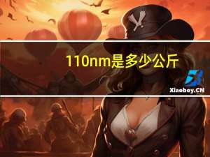 110nm是多少公斤